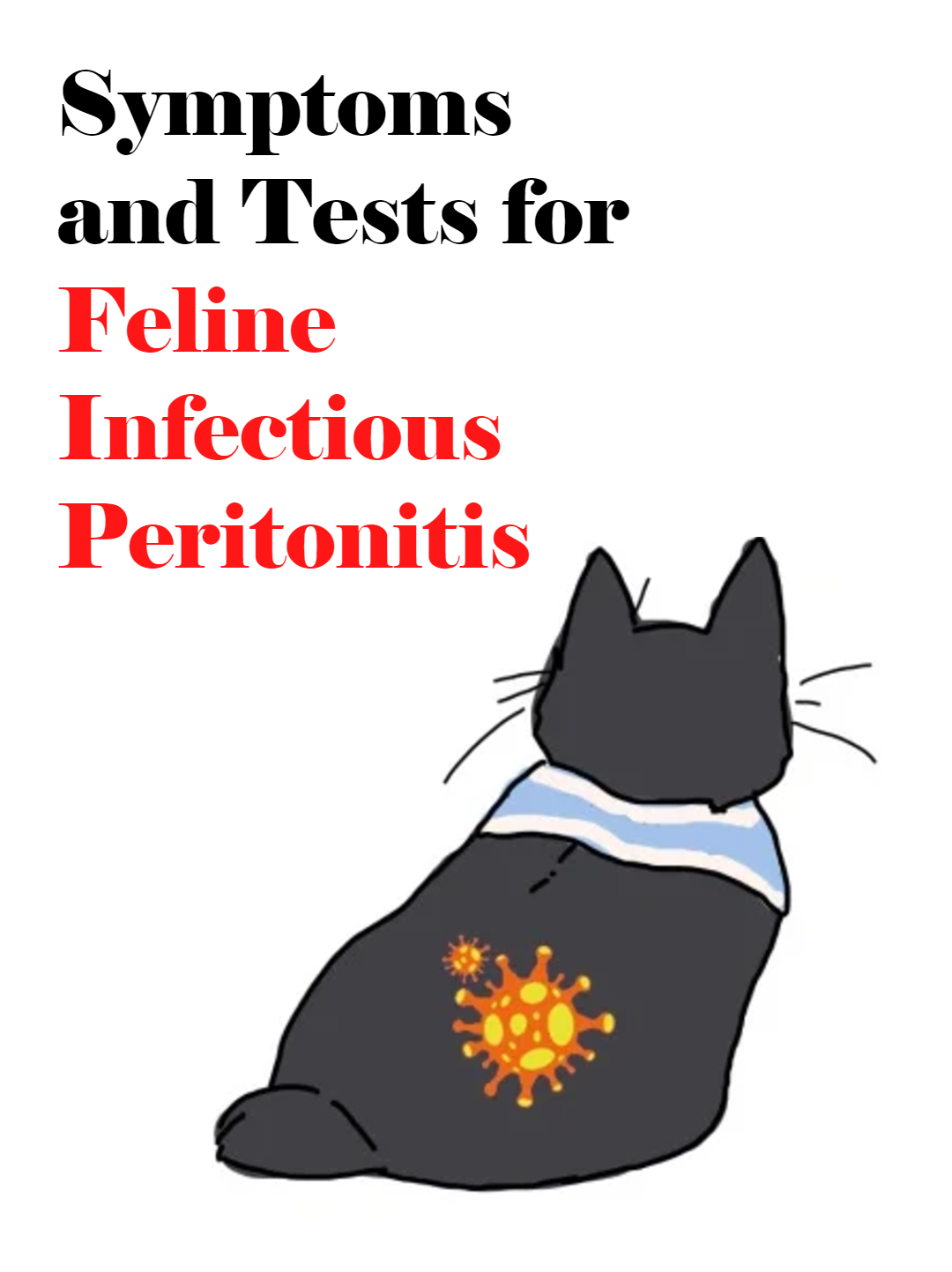 Picture of the article:Early, Mid, and Late Stage Symptoms and Tests for Feline Infectious Peritonitis (FIP)