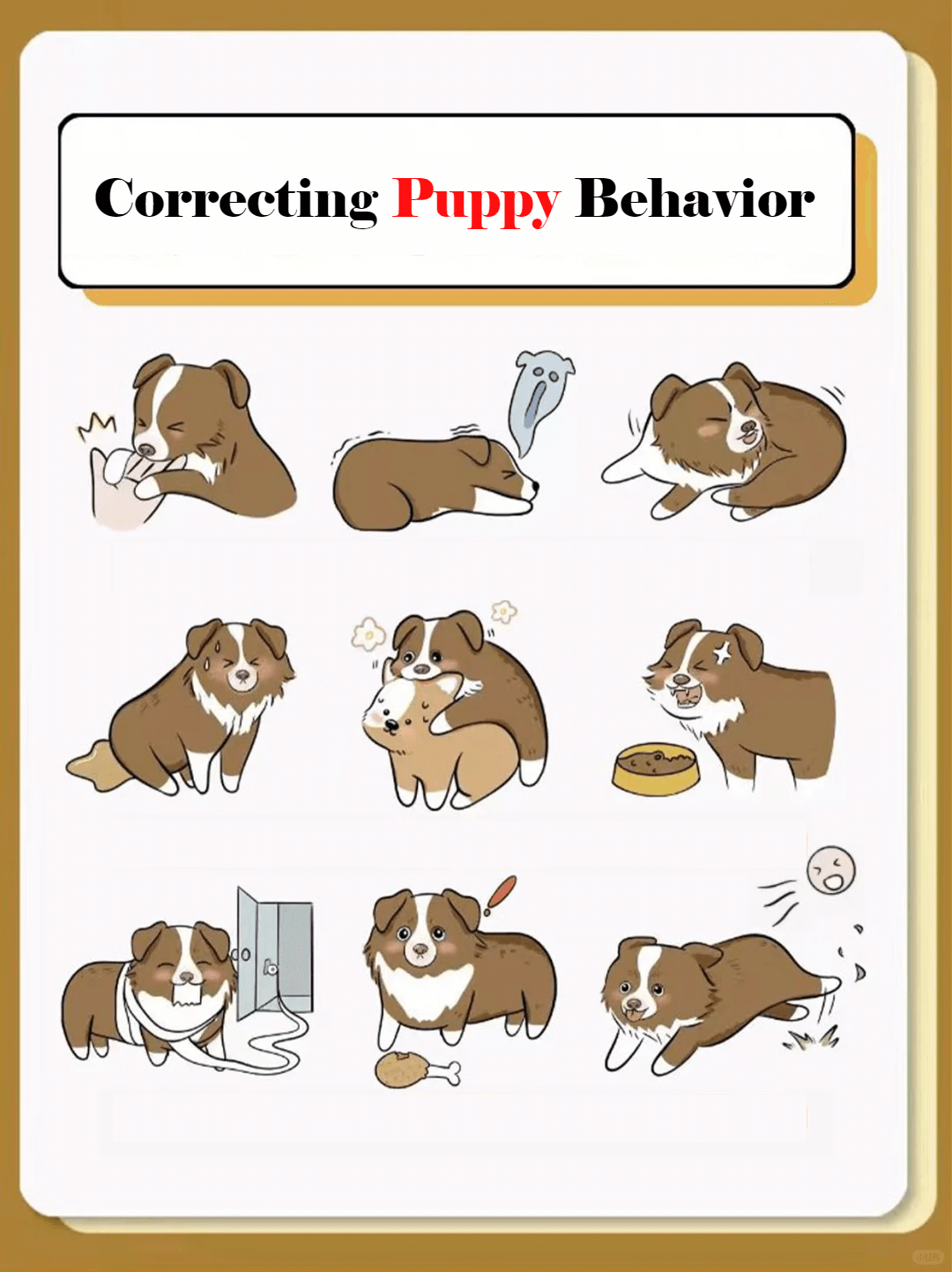 Picture of the article:The Ultimate Guide to Correcting Puppy Behavior 🐶