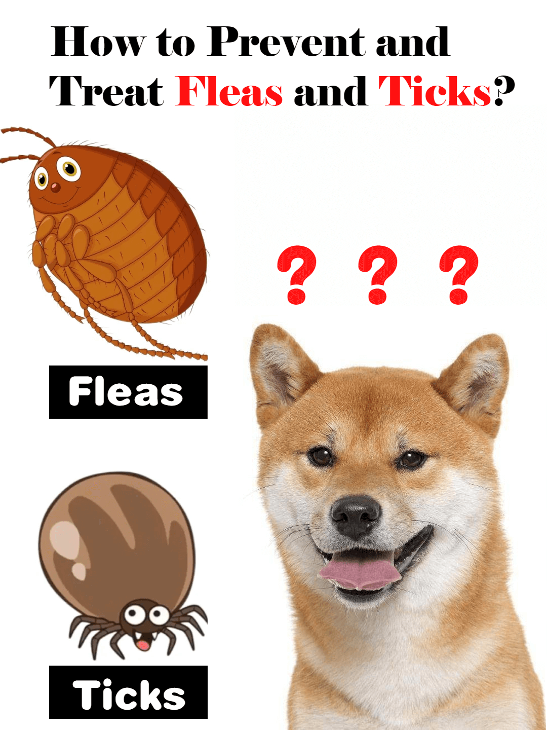 Picture of the article:How to Prevent and Treat Fleas and Ticks? New Dog Owners, Check This Out! 🐾