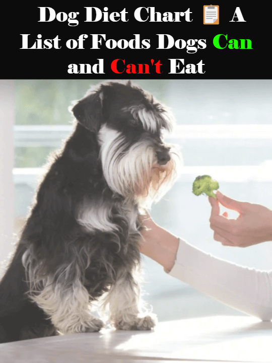 Picture of the article:Dog Diet Chart 📋 A List of Foods Dogs Can and Can't Eat