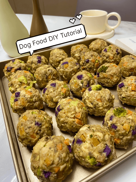 Picture of the article:DIY Dog Food Tutorial❗ Save Money with Homemade Fresh and Nutritious Dog Food❗