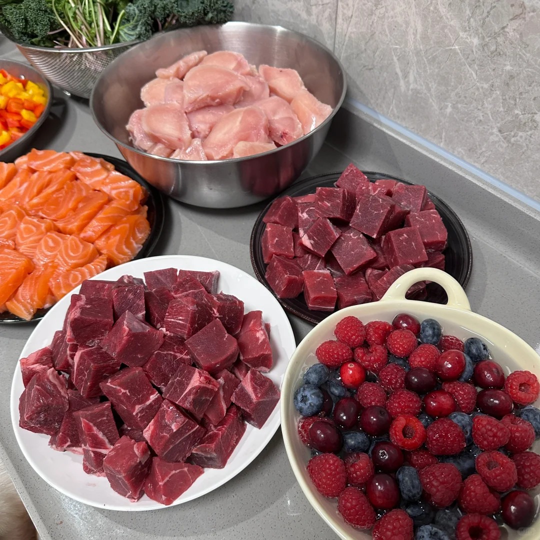 Picture of the article:Homemade Dog Food - Daily Recipe Ingredients and Tips