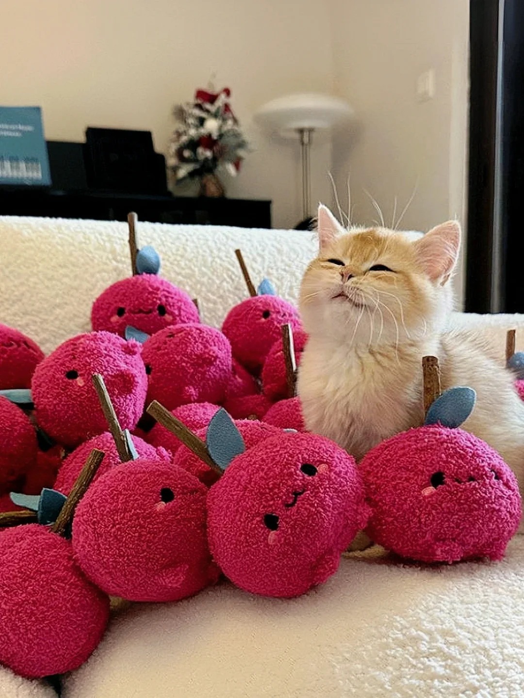 Picture of the article:What are good ways to play with your cat?