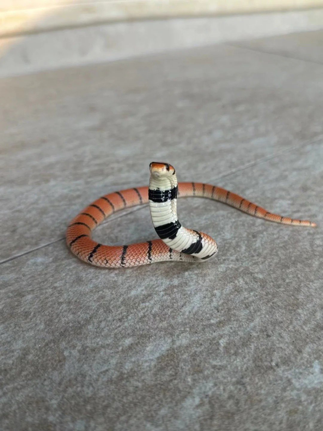 Picture of the article: How to Coexist Peacefully with Snakes 🐍🧘‍♂️